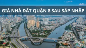 Phân Tích Dự Báo Giá Bất Động Sản Quận 8 Từ Chuyên Gia